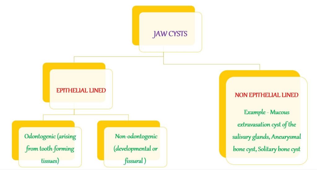 jaw cyst dental notes